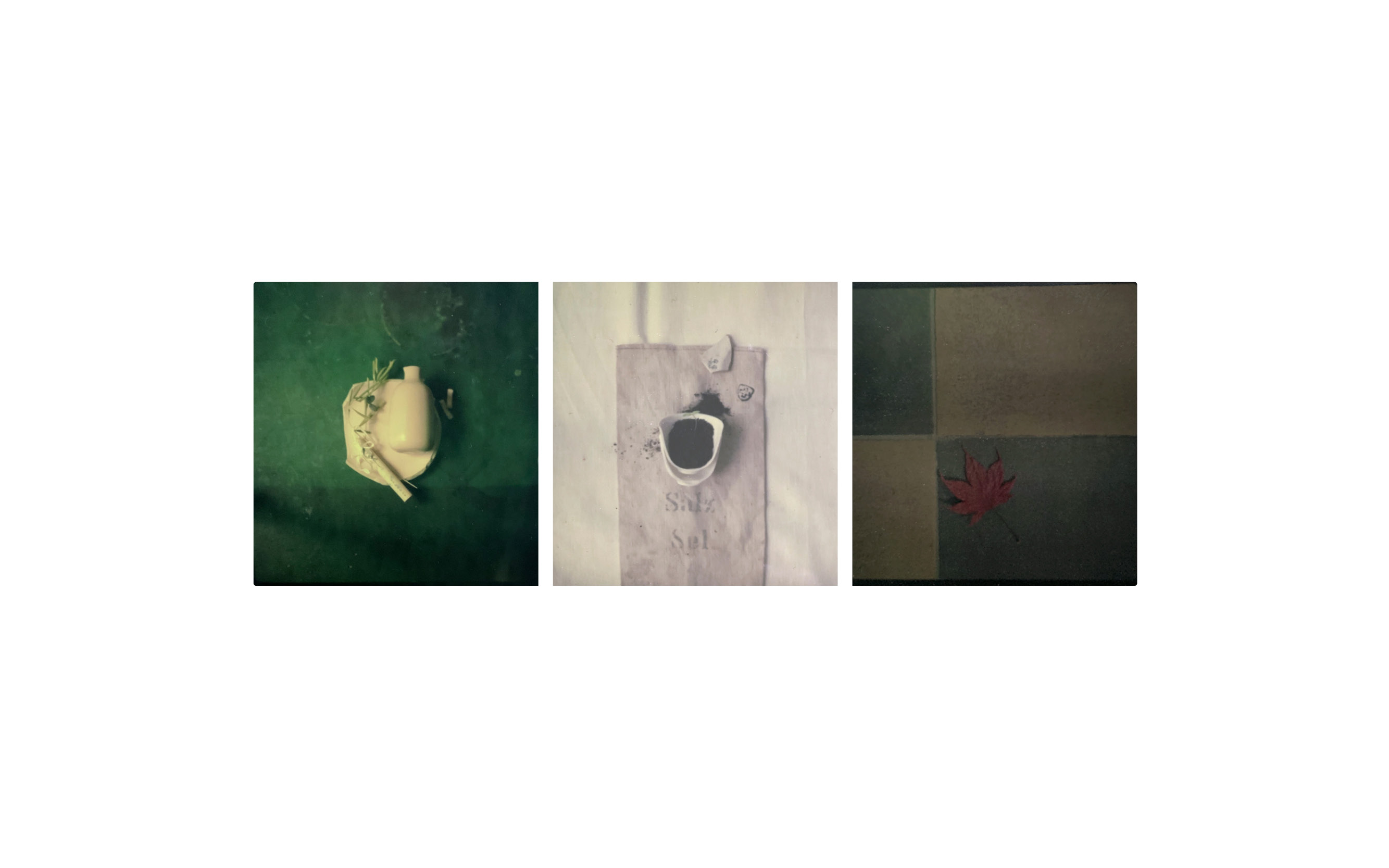 coco-lang_fuji_polaroids_4.jpg